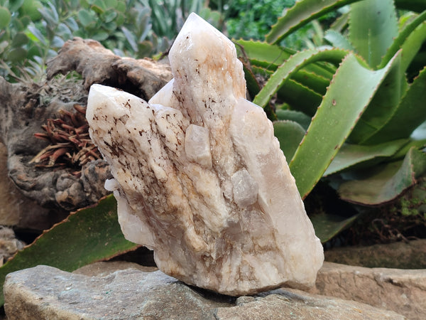 Natural White Cascading Fir Tree Candle Quartz Cluster x 1 From Madagascar