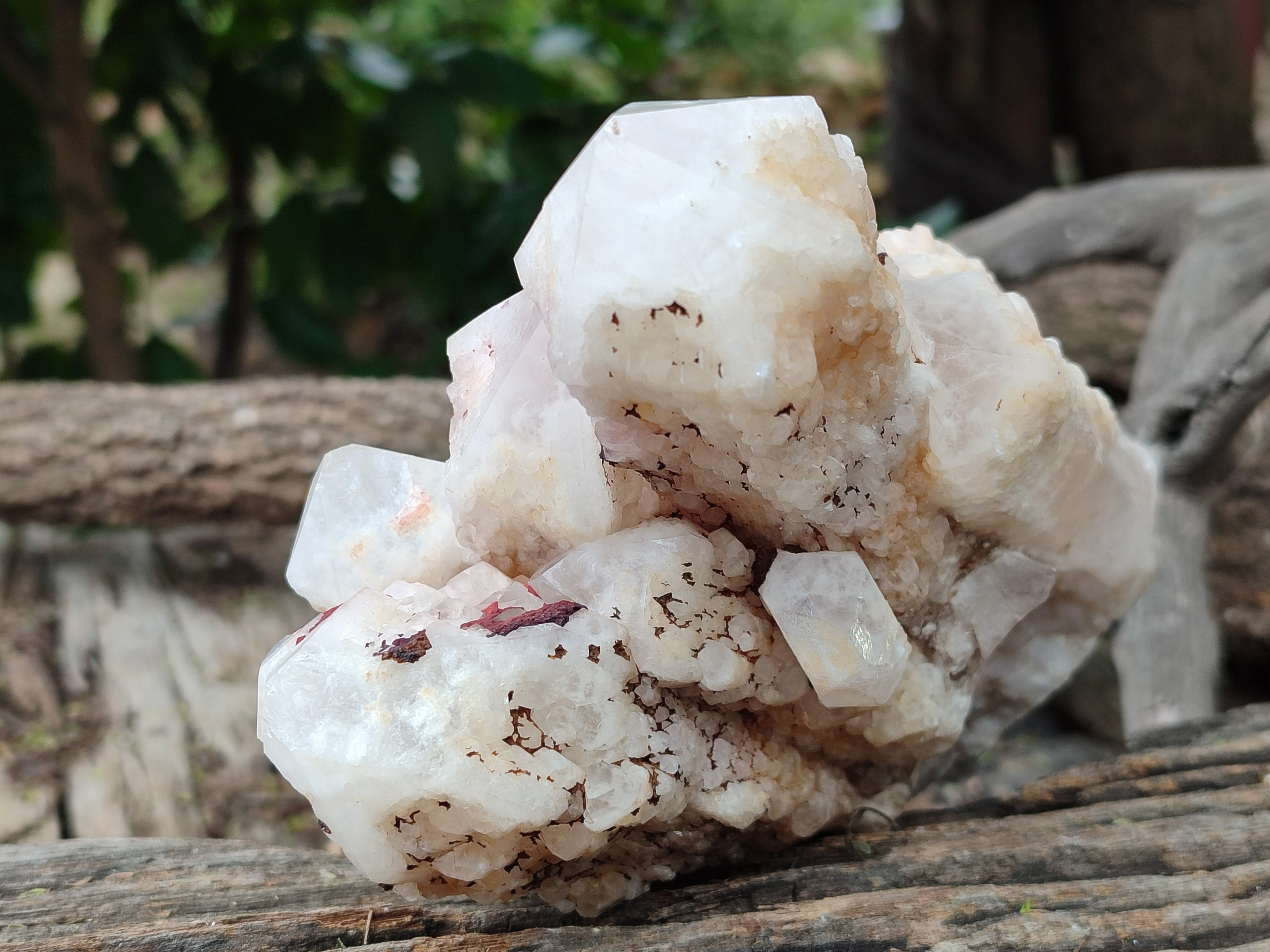 Natural White Cascading Fir Tree Candle Quartz Cluster x 1 From Madagascar - Toprock Gemstones and Minerals 