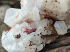 Natural White Cascading Fir Tree Candle Quartz Cluster x 1 From Madagascar - Toprock Gemstones and Minerals 