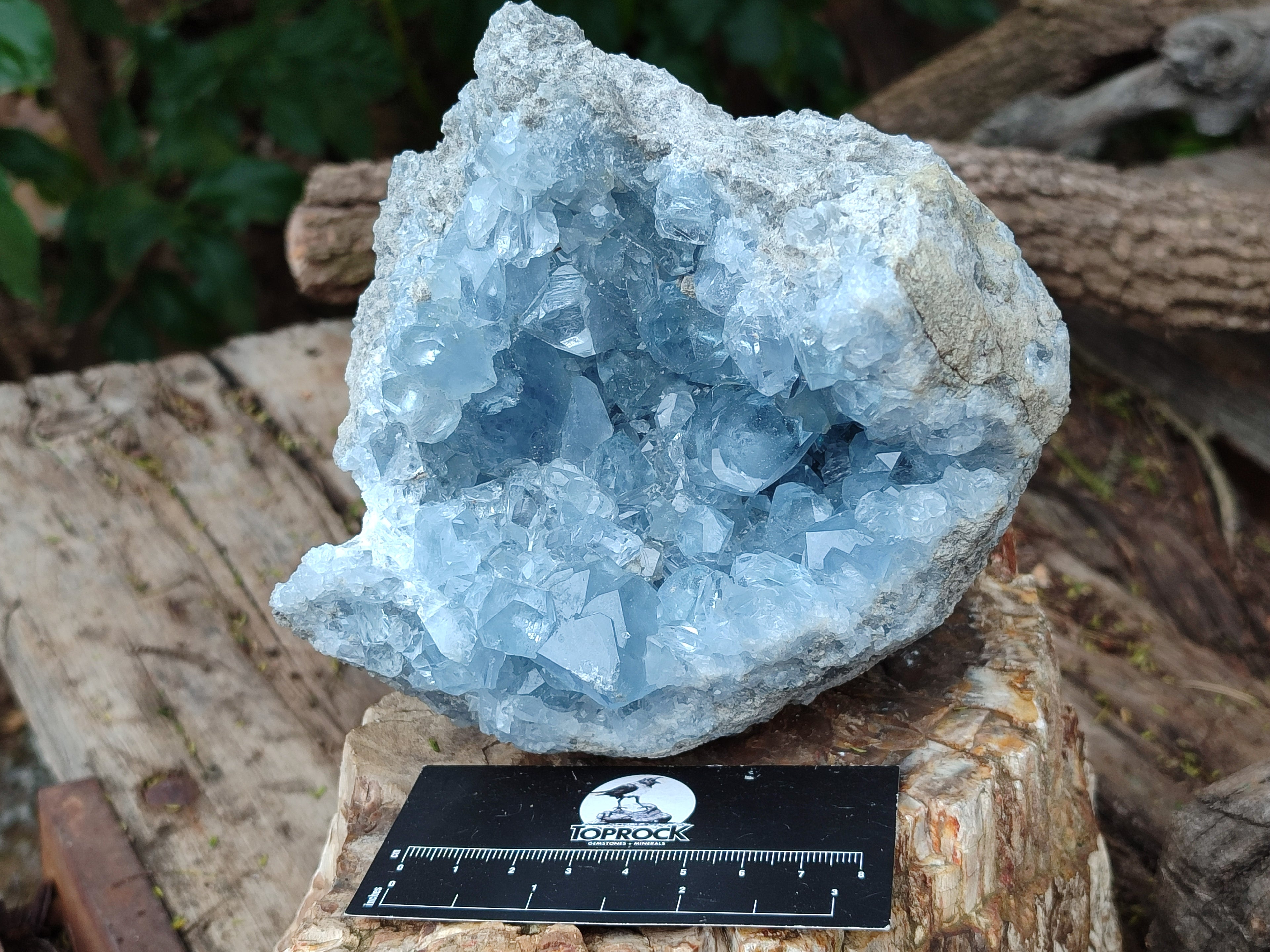 Natural Celestite Geode Clusters x 3 From Sakoany, Madagascar - Toprock Gemstones and Minerals 