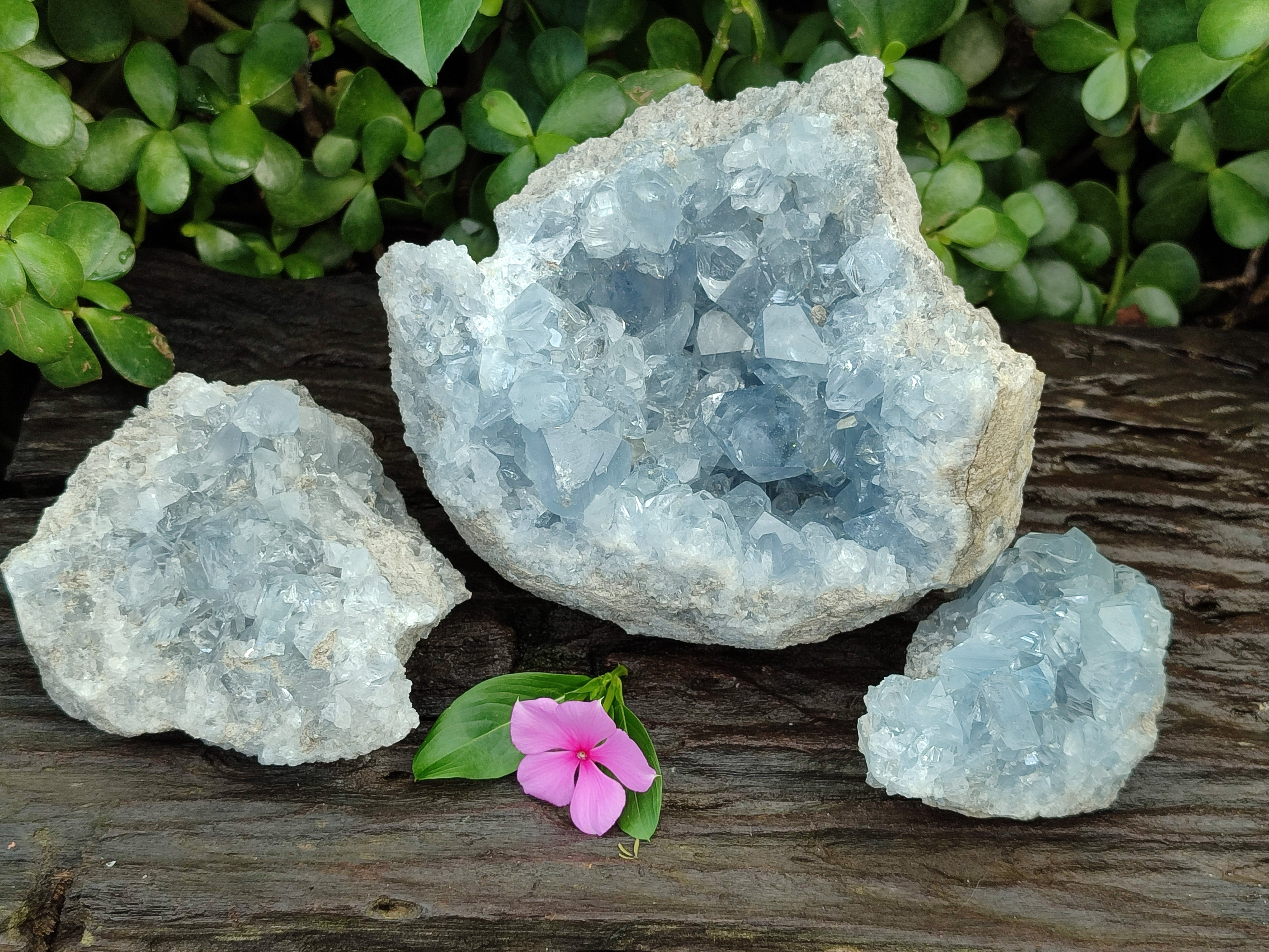 Natural Celestite Geode Clusters x 3 From Sakoany, Madagascar - Toprock Gemstones and Minerals 