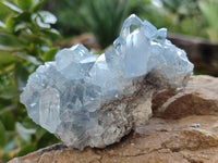 Natural Celestite Geode Clusters x 3 From Sakoany, Madagascar