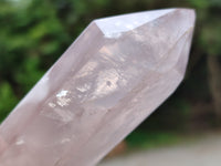 Polished Double Terminated Rose Quartz Points x 6 From Ambatondrazaka, Madagascar