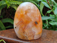 Polished Banded and Carnelian Agate Standing Free Forms x 3 From Madagascar