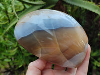 Polished Banded and Carnelian Agate Standing Free Forms x 3 From Madagascar