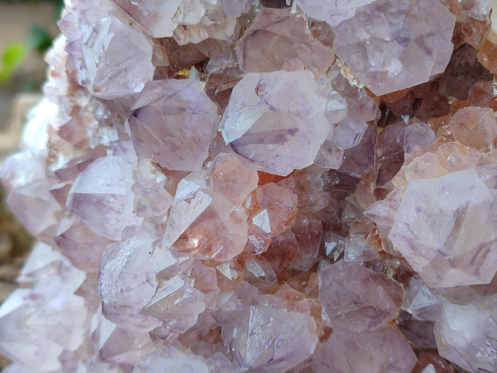 Natural Sunburst Cactus Flower Spirit Amethyst Clusters x 1 From South Africa - Toprock Gemstones and Minerals 