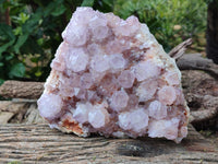 Natural Sunburst Cactus Flower Spirit Amethyst Clusters x 1 From South Africa