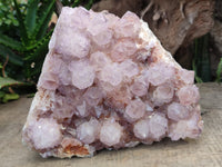 Natural Sunburst Cactus Flower Spirit Amethyst Clusters x 1 From South Africa