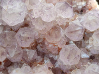 Natural Sunburst Cactus Flower Spirit Amethyst Clusters x 1 From South Africa