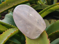 Polished Rose Quartz Standing Free Forms x 6 From Ambatondrazaka, Madagascar