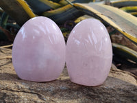 Polished Rose Quartz Standing Free Forms x 6 From Ambatondrazaka, Madagascar