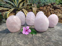 Polished Rose Quartz Standing Free Forms x 6 From Ambatondrazaka, Madagascar