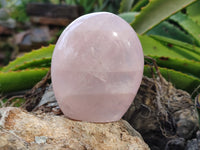 Polished Rose Quartz Standing Free Forms x 6 From Ambatondrazaka, Madagascar