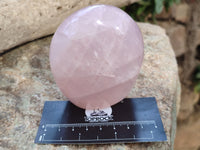 Polished Rose Quartz Standing Free Forms x 6 From Ambatondrazaka, Madagascar