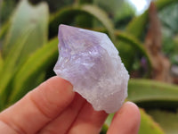Natural Jacaranda Amethyst Quartz Crystals x 35 From Mumbwa, Zambia