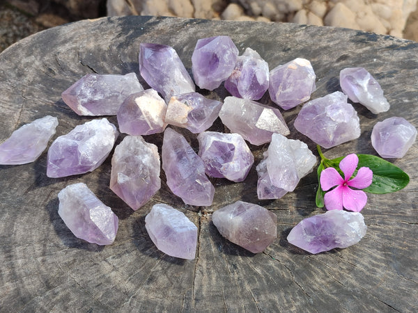 Natural Jacaranda Amethyst Quartz Crystals x 35 From Mumbwa, Zambia