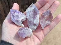Natural Jacaranda Amethyst Quartz Crystals x 35 From Mumbwa, Zambia