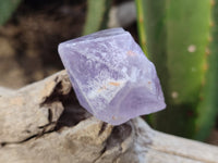 Natural Jacaranda Amethyst Quartz Crystals x 35 From Mumbwa, Zambia