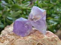 Natural Jacaranda Amethyst Quartz Crystals x 35 From Mumbwa, Zambia