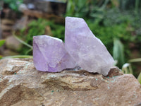 Natural Jacaranda Amethyst Quartz Crystals x 35 From Mumbwa, Zambia