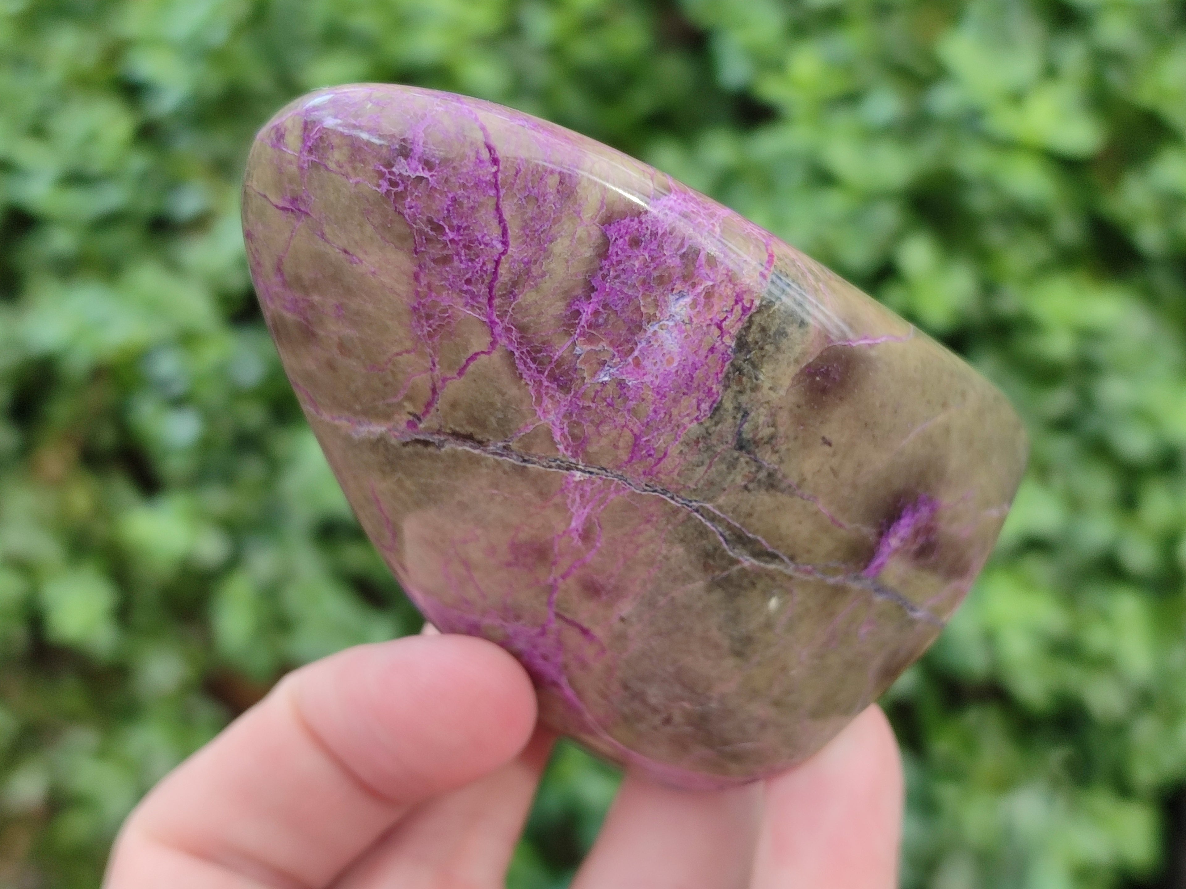 Polished Stichtite Standing Free Forms x 4 From Barberton, South Africa - Toprock Gemstones and Minerals 