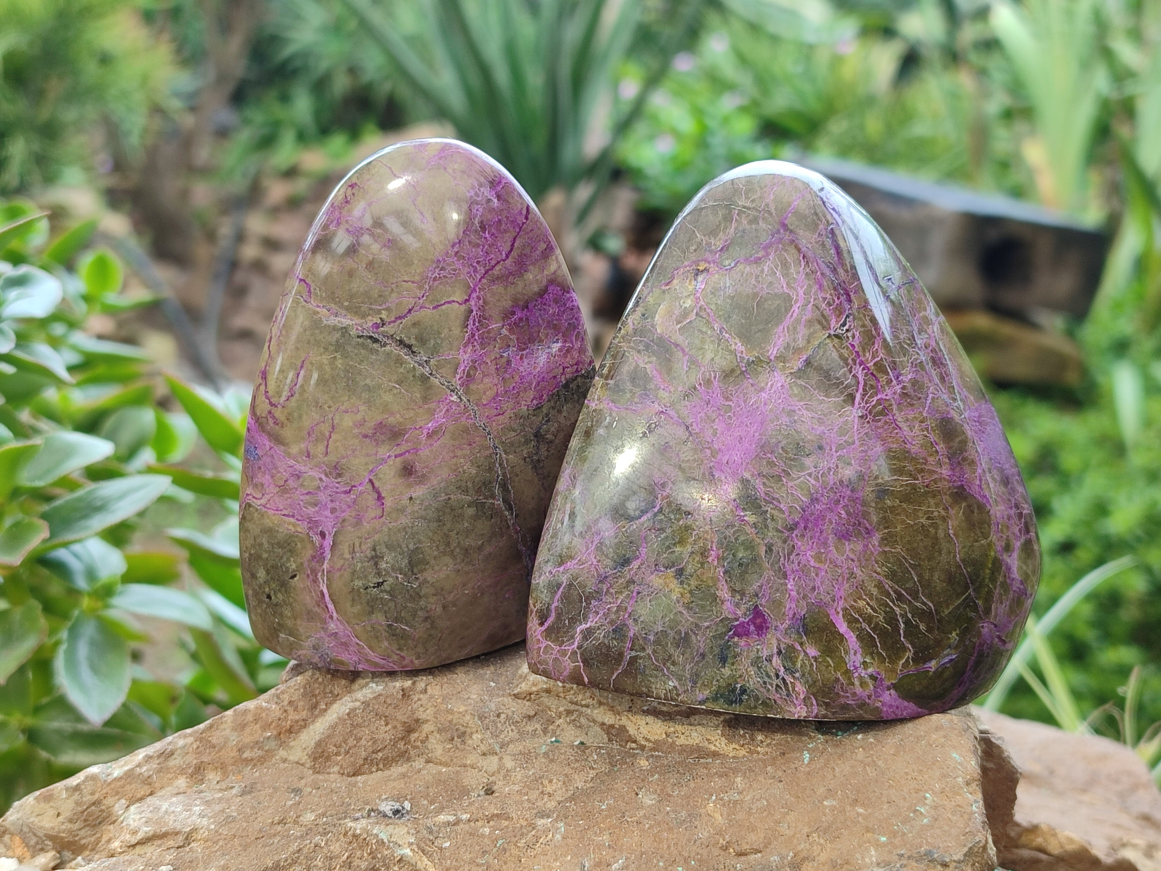 Polished Stichtite Standing Free Forms x 4 From Barberton, South Africa - Toprock Gemstones and Minerals 