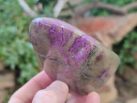 Polished Stichtite Standing Free Forms x 4 From Barberton, South Africa