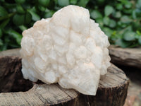 Natural White Cascading Fir Tree Candle Quartz Cluster x 6 From Madagascar