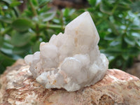 Natural White Cascading Fir Tree Candle Quartz Cluster x 6 From Madagascar