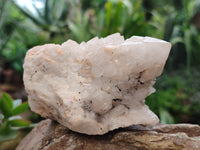 Natural White Cascading Fir Tree Candle Quartz Cluster x 6 From Madagascar
