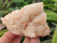 Natural White Cascading Fir Tree Candle Quartz Cluster x 6 From Madagascar