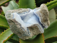 Natural Blue Lace Agate Geode Specimens x 12 From Nsanje, Malawi