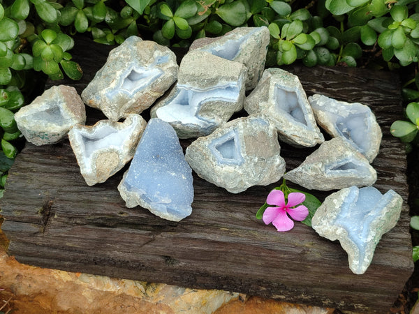 Natural Blue Lace Agate Geode Specimens x 12 From Nsanje, Malawi