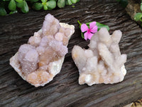 Natural Amethyst and Fairy Cactus Spirit Quartz Clusters x 2 From South Africa