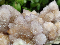 Natural Amethyst and Fairy Cactus Spirit Quartz Clusters x 2 From South Africa