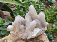 Natural Amethyst and Fairy Cactus Spirit Quartz Clusters x 2 From South Africa