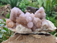 Natural Amethyst and Fairy Cactus Spirit Quartz Clusters x 2 From South Africa