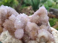 Natural Amethyst and Fairy Cactus Spirit Quartz Clusters x 2 From South Africa