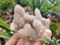 Natural Amethyst and Fairy Cactus Spirit Quartz Clusters x 2 From South Africa