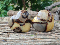 Polished Fossilized Septerye Hearts x 6 From Mahajanga, Madagascar