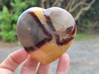 Polished Fossilized Septerye Hearts x 6 From Mahajanga, Madagascar