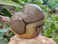Polished Fossilized Septerye Hearts x 6 From Mahajanga, Madagascar