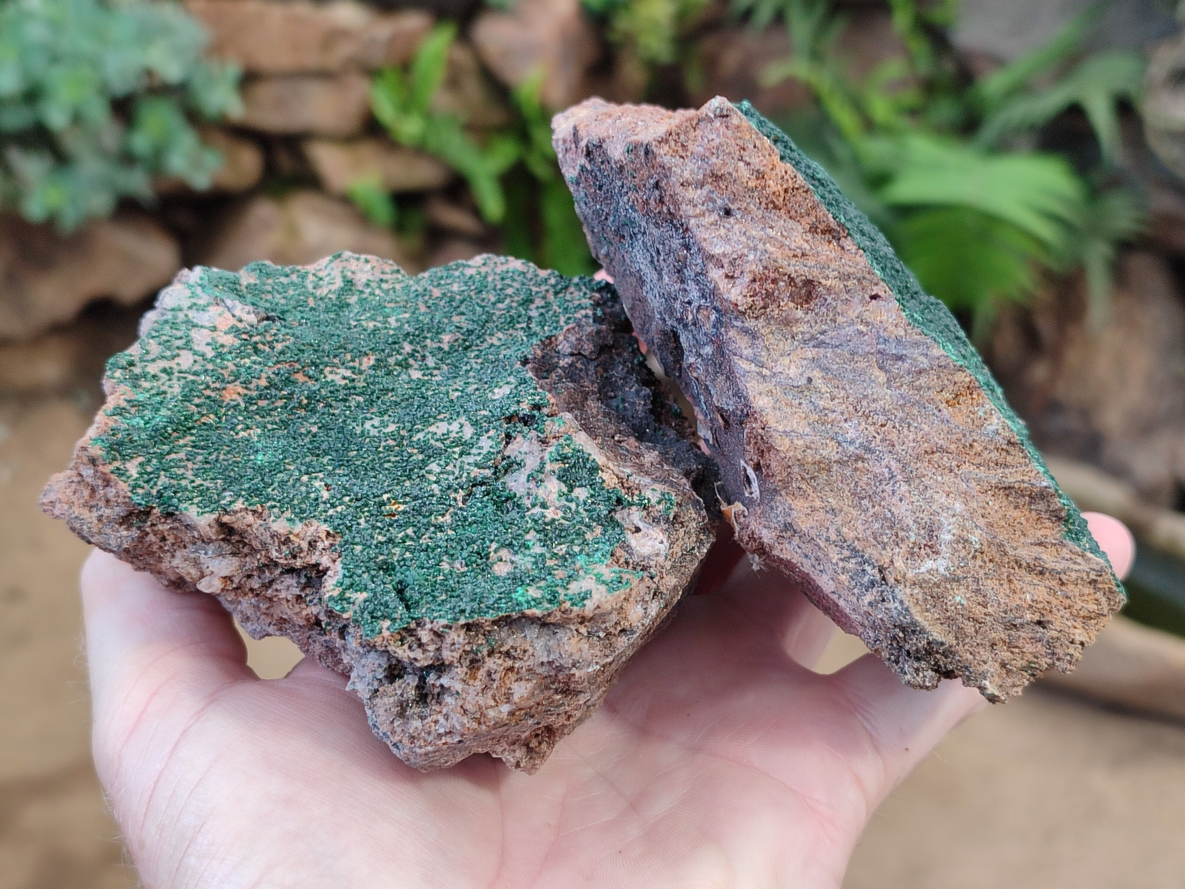 Natural Botryoidal Malachite Specimens x 4 From Tenke Fungurume, Congo - Toprock Gemstones and Minerals 