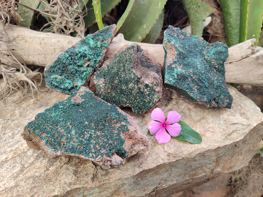 Natural Botryoidal Malachite Specimens x 4 From Tenke Fungurume, Congo - Toprock Gemstones and Minerals 