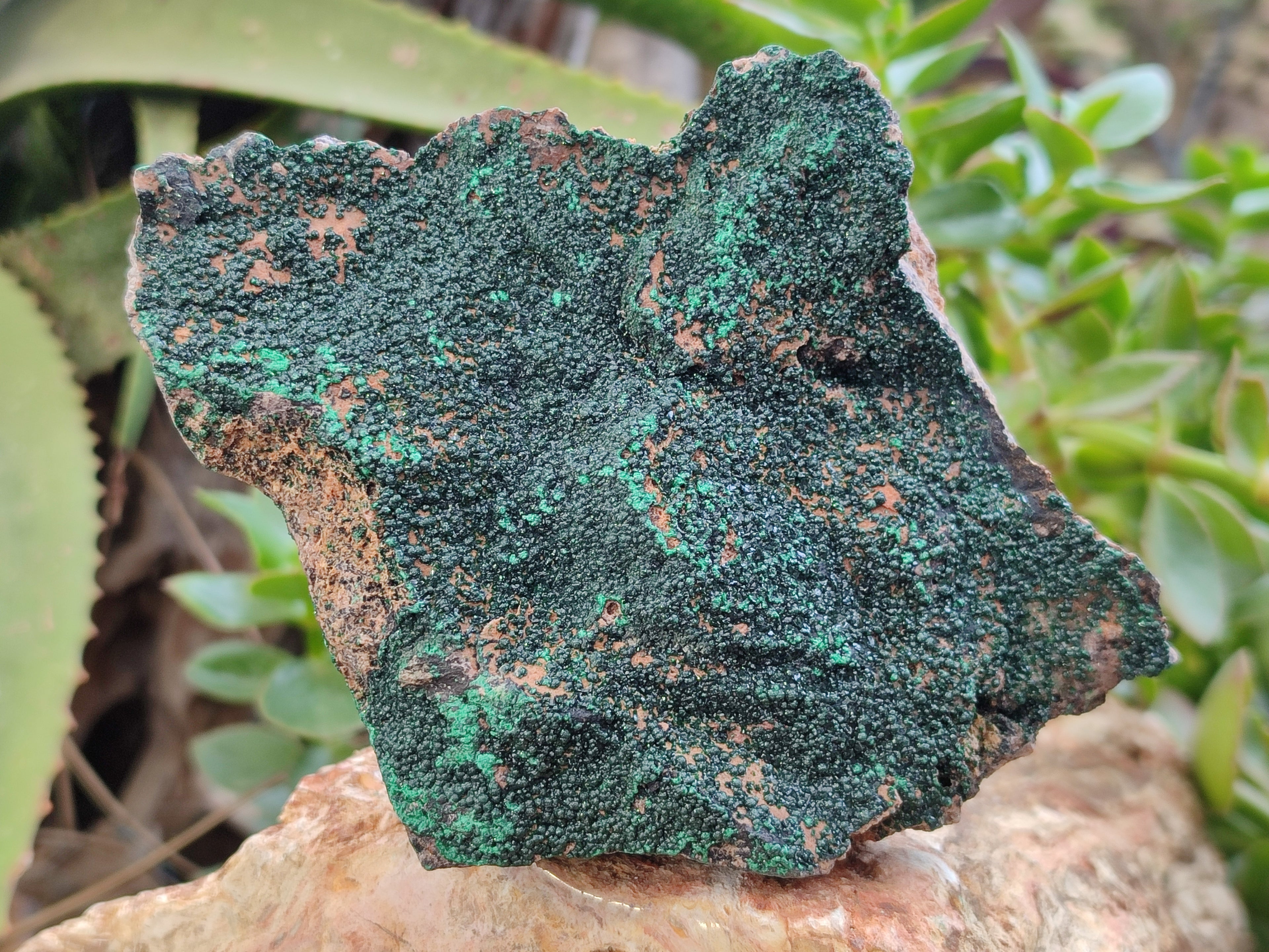 Natural Botryoidal Malachite Specimens x 4 From Tenke Fungurume, Congo - Toprock Gemstones and Minerals 