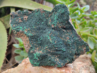 Natural Botryoidal Malachite Specimens x 4 From Tenke Fungurume, Congo
