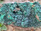 Natural Botryoidal Malachite Specimens x 4 From Tenke Fungurume, Congo - Toprock Gemstones and Minerals 