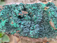 Natural Botryoidal Malachite Specimens x 4 From Tenke Fungurume, Congo