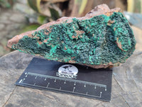 Natural Botryoidal Malachite Specimens x 4 From Tenke Fungurume, Congo