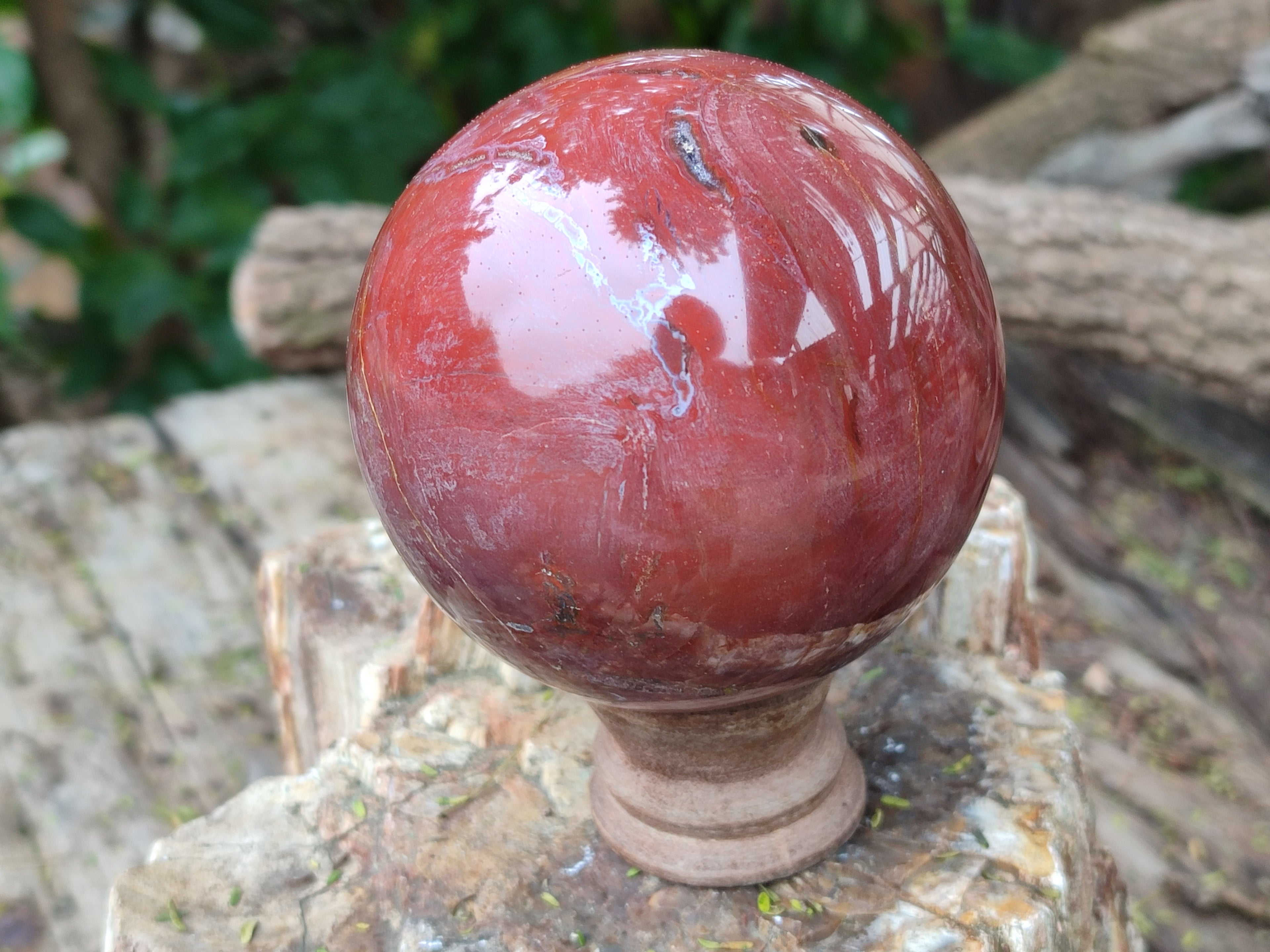 Polished Podocarpus Petrified Wood Spheres x 2 From Mahajanga, Madagascar - Toprock Gemstones and Minerals 